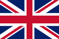 Icon to change language into english